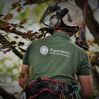Commercial tree surgery